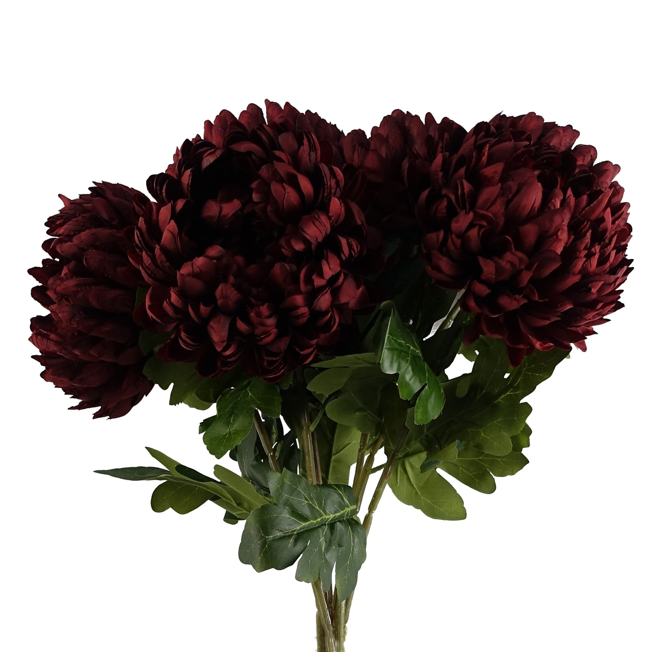 Pegdev Pack of 6 Red Reflex Chrysanthemums 75cm Silk Flowers