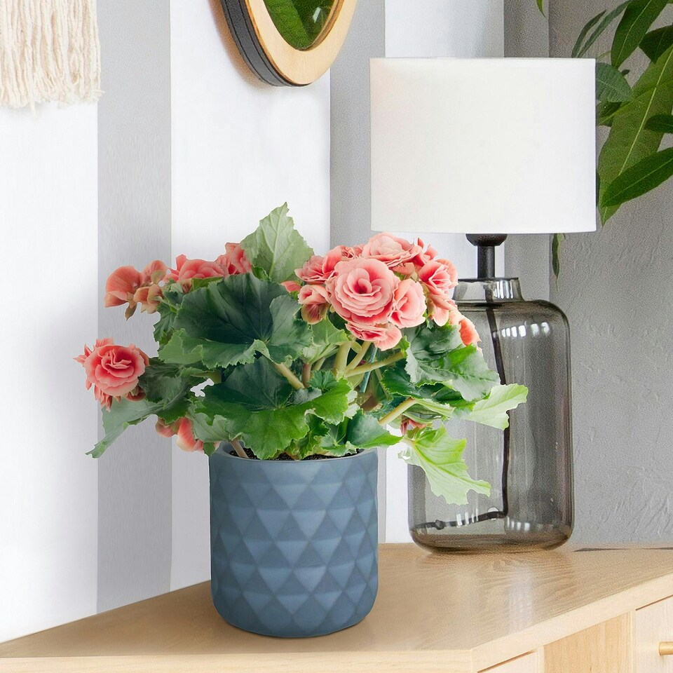 image 1 of Diamond Style Grey Cylinder Round Plant Pot also can be used as Hanging Planter Indoor D17.5 H17.5 cm, 4.2 ltrs Cap.