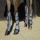 image 3 of Rhinegold Elite Full Length Travel Boots Blue | Colour: Turquoise/Navy
Size: Full
