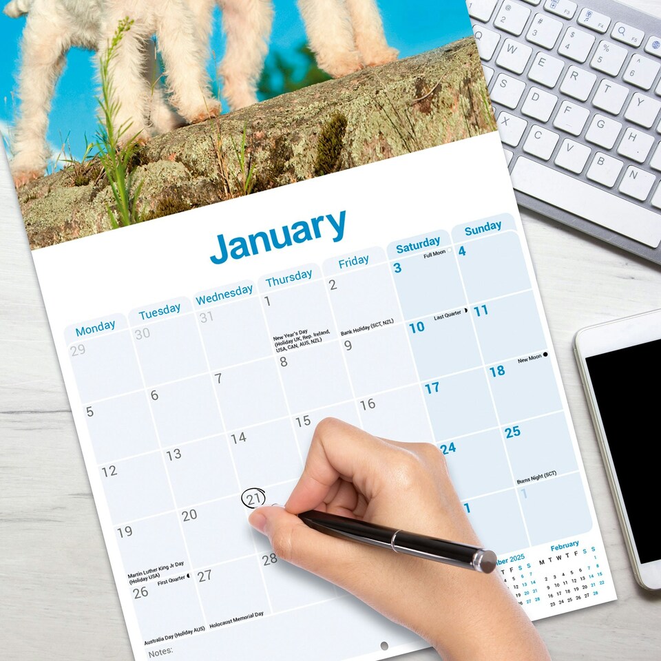 image 1 of Fox Terrier (Wire Haired) 2026 Calendar | Square Wall Calendar | Dog Breed Gift | Plastic Free Packaging | by Avonside Publishing