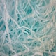 image 10 of Turquoise Shredded Tissue (20g)