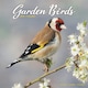 image 1 of Garden Birds 2026 Calendar | Square Wall Calendar | Bird Gift | Plastic Free Packaging | by Avonside Publishing