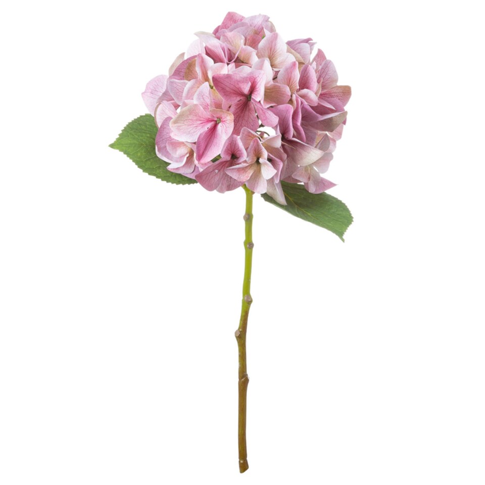 image 1 of Shabby Single Hydrangea Artificial Flower - Plastic - L30 x W30 x H50 cm - Pink