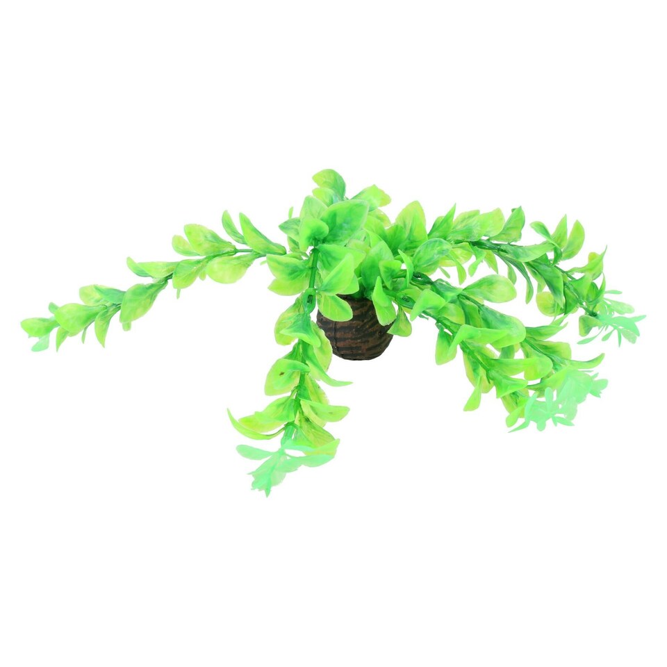 image 1 of Aquatic Aquarium Fish Tank Self Sinking Middle Silk Plant H-20cm (No2) 2PK
