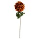 image 6 of Pack of 6 x 75cm Extra Large Reflex Chrysanthemum - Orange
