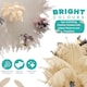 image 3 of 50cm - 60cm Large Ostrich Feathers, Showgirl Spadones - 5pcs