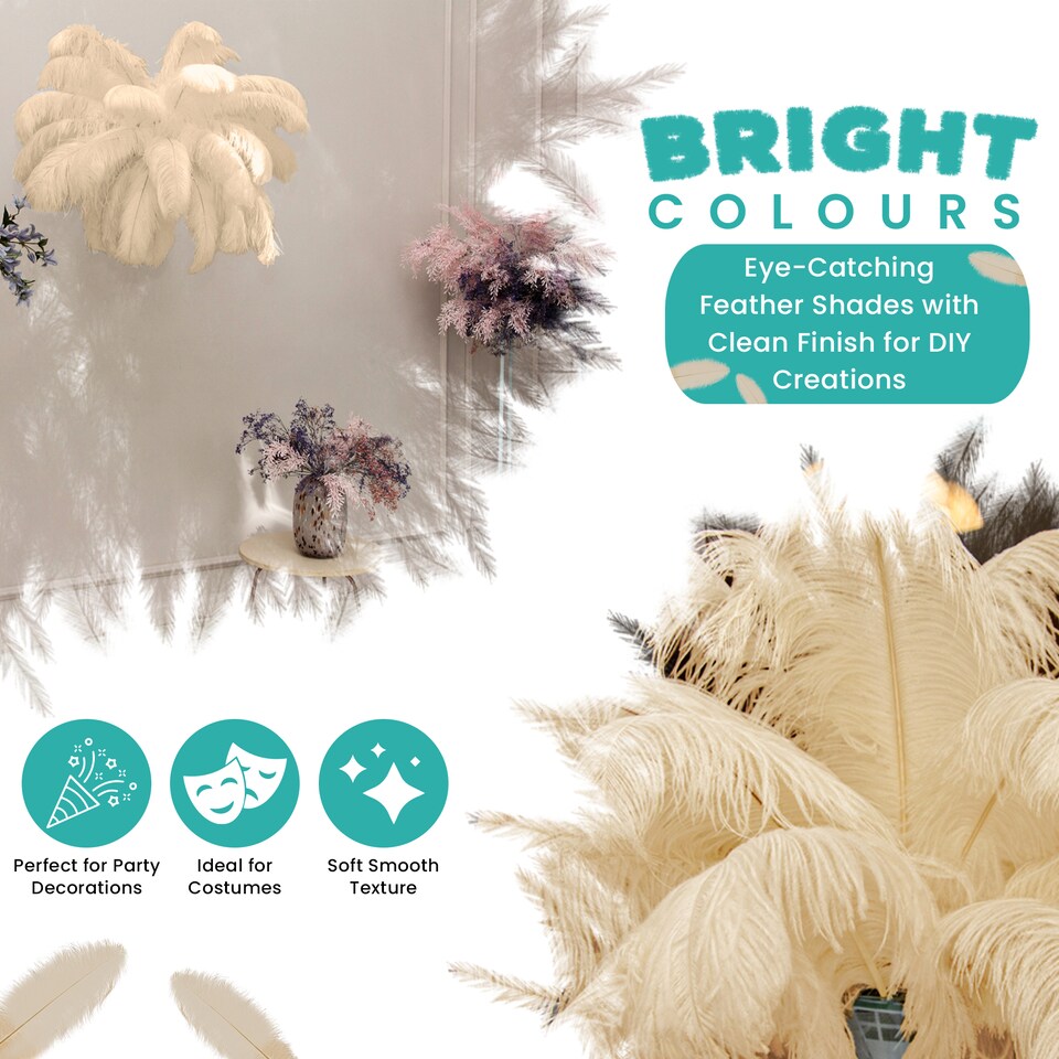 image 1 of 50cm - 60cm Large Ostrich Feathers, Showgirl Spadones - 5pcs