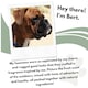 image 3 of WAGS Bert's Fragrance for Male Dogs 100ml