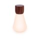 image 1 of Gingko Large Pentagon Desk Bulb Light in Natural Wood N/A | Walnut