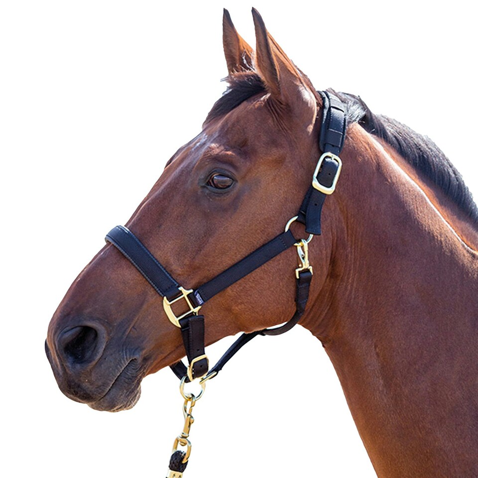 Shires Topaz Nylon Horse Headcollar - Black - Full