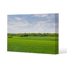 Summer landscape with hilly green field and forest in the distance (Canvas Print) / 101 x 77 x 4cm | Multi