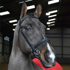 Whitaker Ready To Ride Leather Horse Snaffle Bridle - Black - X Full