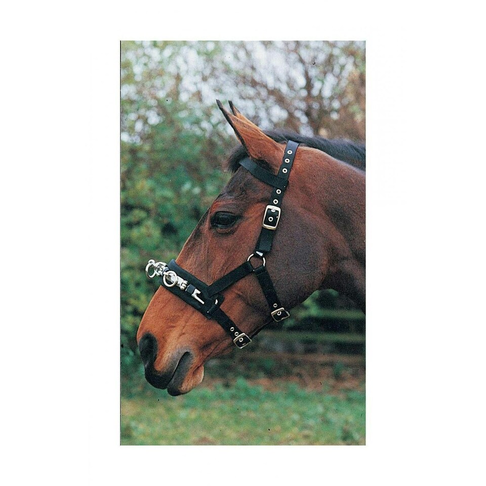 image 1 of Hy Lunge Cavesson - Black - Large