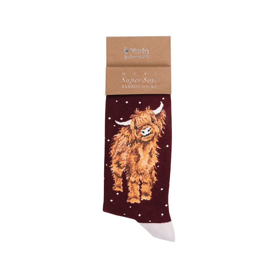 image 1 of Wrendale Designs Illustrated Animal Socks for Men - Bamboo, UK 7-11