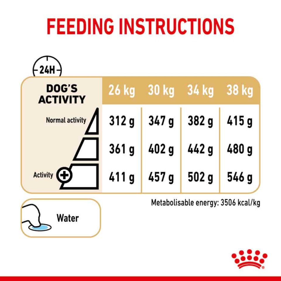 image 1 of Royal Canin Labrador Retriever Adult 5 Plus Dry Dog Food - 12 kg