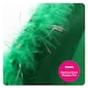 image 5 of Green Cowboy Hat with Marabou Trim & Tiara – Fancy Dress Accessory Green | One Size