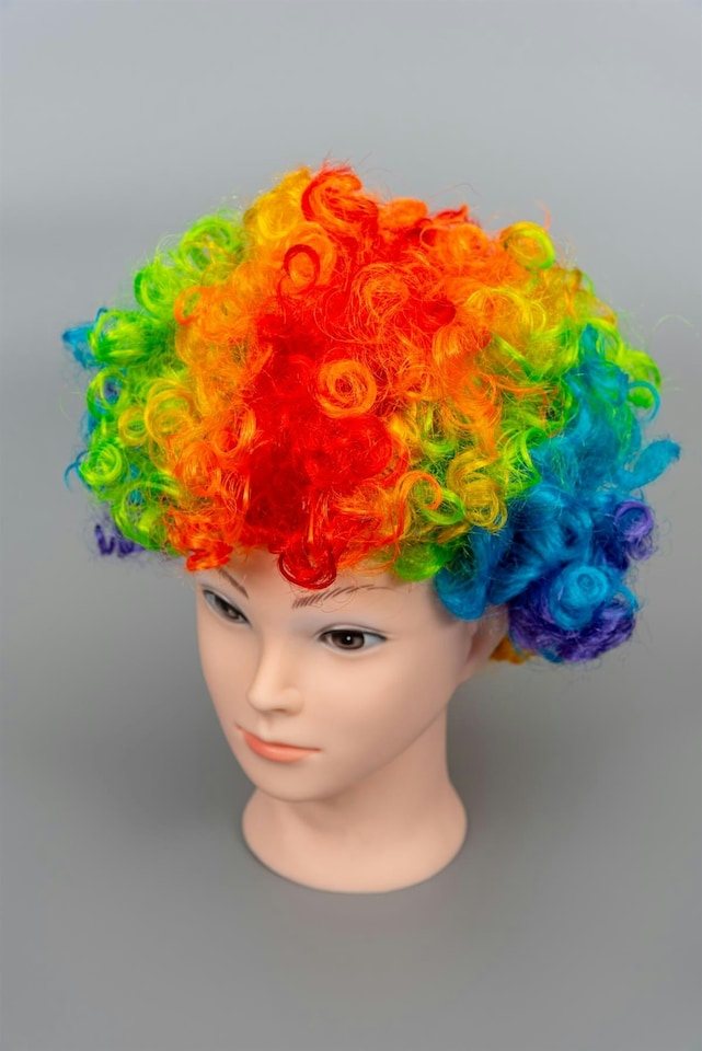 image 1 of Afro Wigs Curly Bouncy Hair Fancy Dress Party Costume Disco Accessory Unisex 60s 70S 80s Theme | Multi