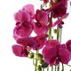 image 3 of Large Pink Artificial Orchid Plant Artifcial 41 REAL TOUCH flowers Botanik