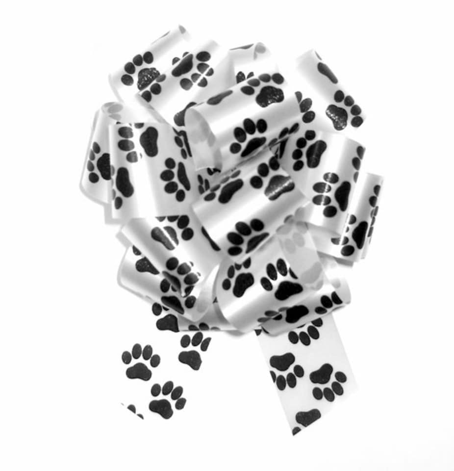 image 1 of Paw Print Pull Bows 50mm (pack of 10)