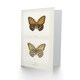 image 2 of Sherman Denton Art Card Regal Fritillary Butterfly