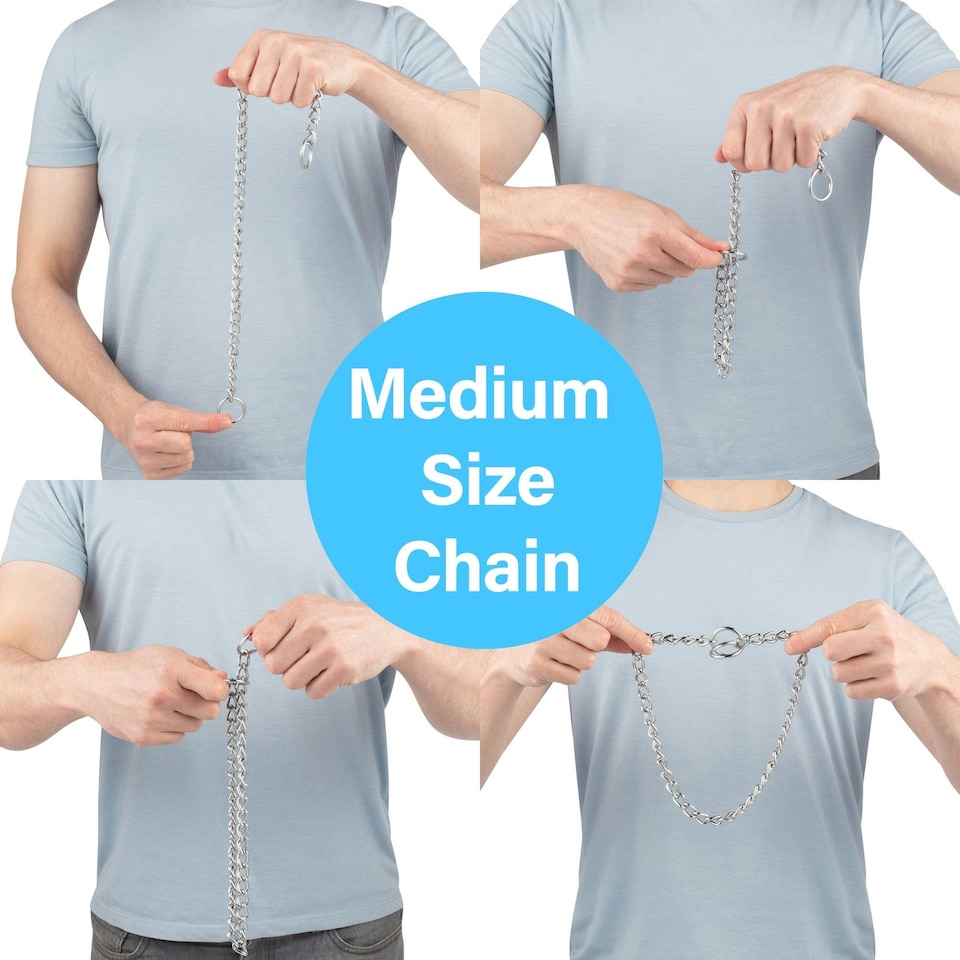 image 1 of Bunty Choker Collar Silver | M