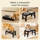 image 9 of Skylos Dog Raised Elevated Pet Feeding Bowls Stainless Steel Adjustable Stand