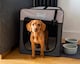 image 2 of Henry Wag Folding Fabric Travel Crate, Perfect For Home, Outdoor Use, Or Travel, Size X-Large | Grey | Grey | X-Large | 1