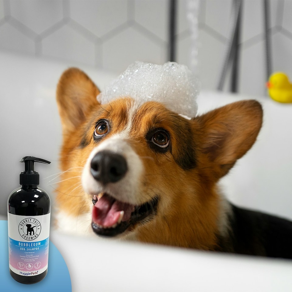 image 1 of HugglePets Bubbly Tails Dog Shampoo - Bubblegum (Whitening)