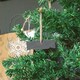 image 4 of Nicola Spring Slate Christmas Tree Decorations - 7.5 x 2.5cm - Cracker - Pack of 6