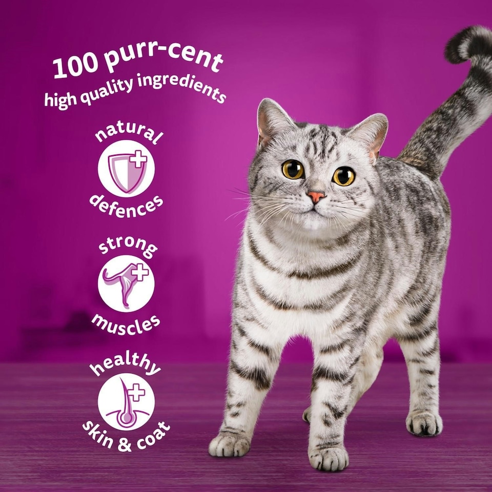 image 1 of 120 x 85g Whiskas 1+ Poultry Feasts Mixed Adult Wet Cat Food Pouches in Jelly 3 x 40pk