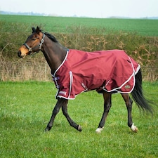 Gallop Equestrian Trojan Xtra Lightweight Turnout Red | Size: 6ft 0
Colour: Burgundy
