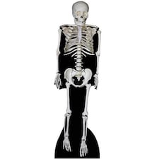Skeleton Halloween Lifesize Cardboard Cutout 189cm