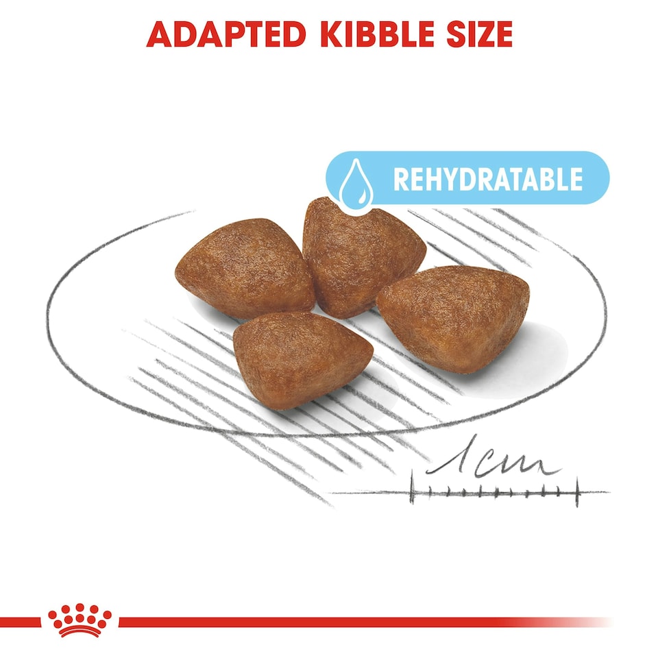 image 1 of ROYAL CANIN® Mini Starter Mother & Babydog Adult and Puppy Dry Food N/A | Size: 1kg