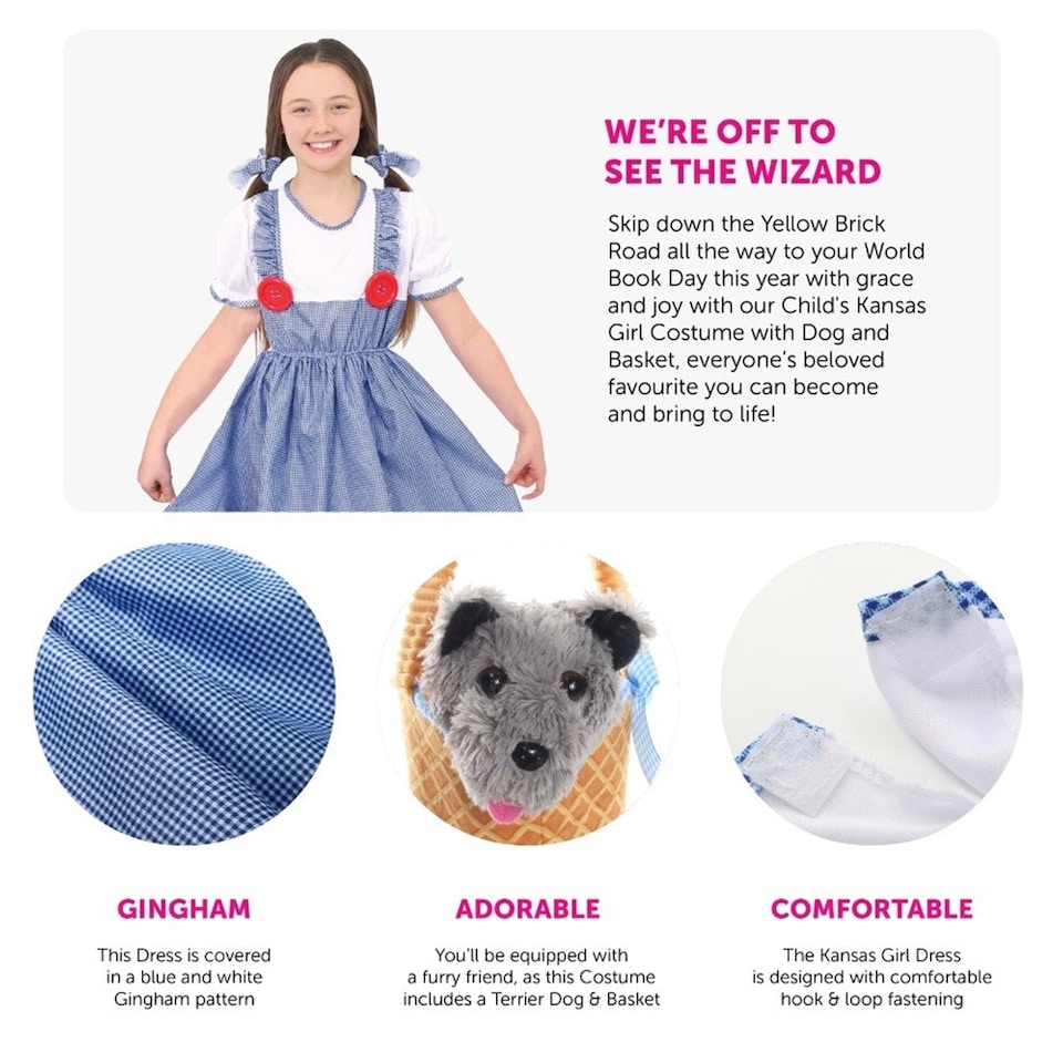 image 1 of Kansas Girl Costume - Soft Basket & Dog Blue | XL