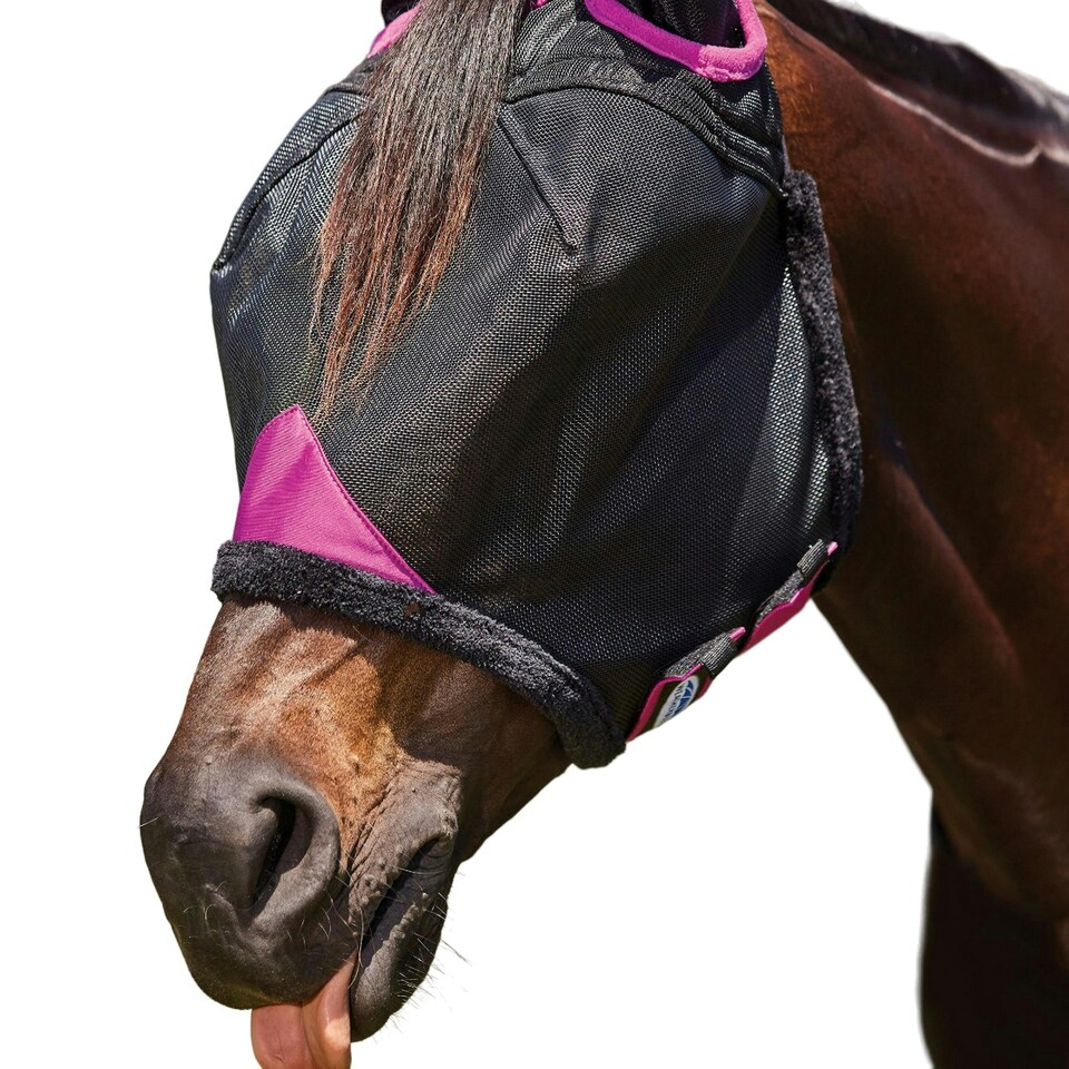 image 1 of Weatherbeeta Comfitec Deluxe Mesh Durable Horse Fly Mask With Ears - Black/Purple - Mini