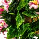 image 4 of Primrose Artificial Duranta Pink Flowers Hanging Basket with Solar Light 26cm