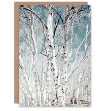 Carol M Highsmith Art Card Birch Trees in Utah Photograph