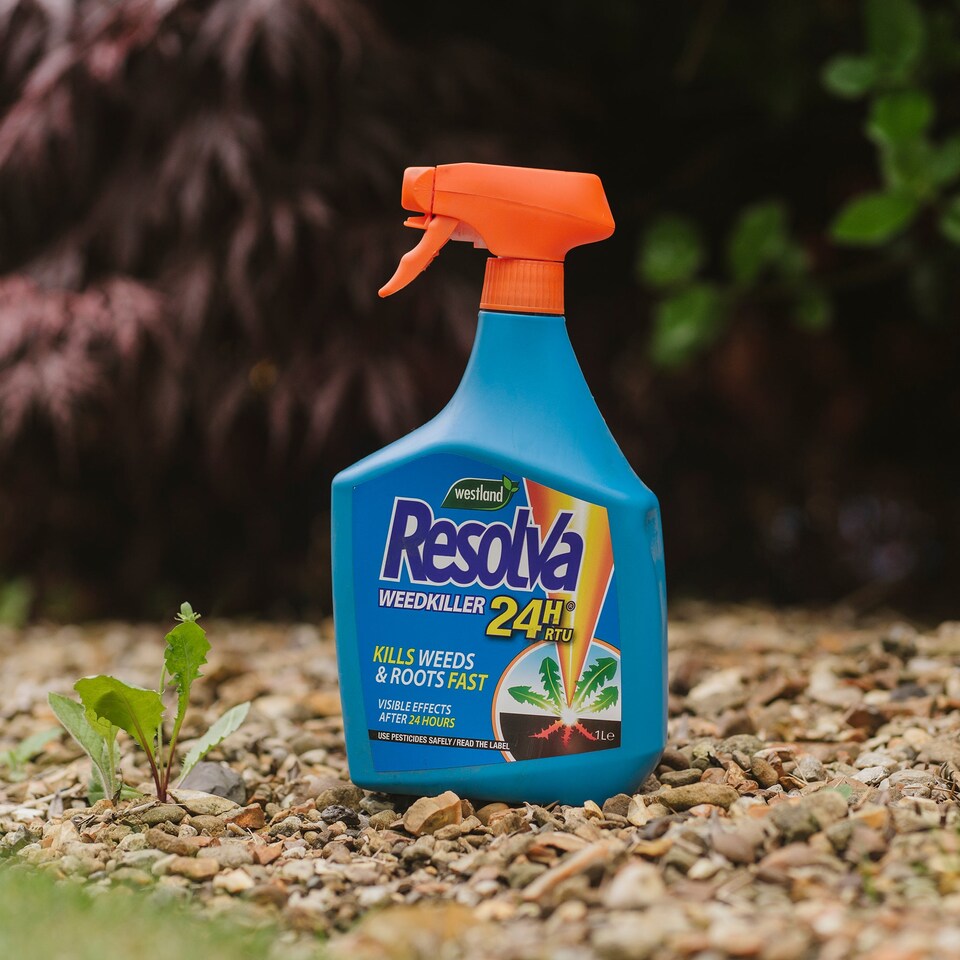 image 1 of Resolva 24H Ready to Use Weedkiller