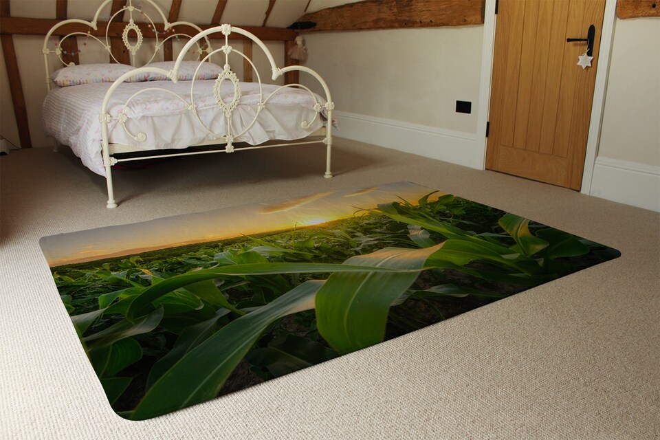 image 1 of Field At Sunset Designer Rug Designer Rug | Multi