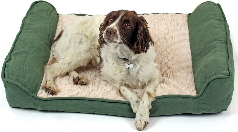 image 1 of Actiaspet - Deluxe Orthopaedic Dog Sofa Bed (Green, Large)