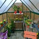image 4 of Greenhouse Hybrid 6X10 - Polycarbonate - L306 x W185 x H208 - Green