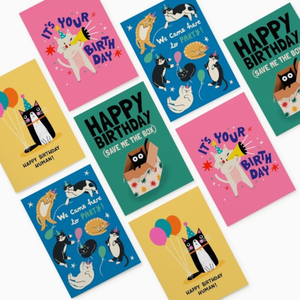 image 1 of Cat Birthday Card Pack – Box of 8 (4 Designs)
