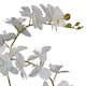 image 3 of 65cm Artificial Luxury Artificial Orchid - 3 Stems - Soft White Plant