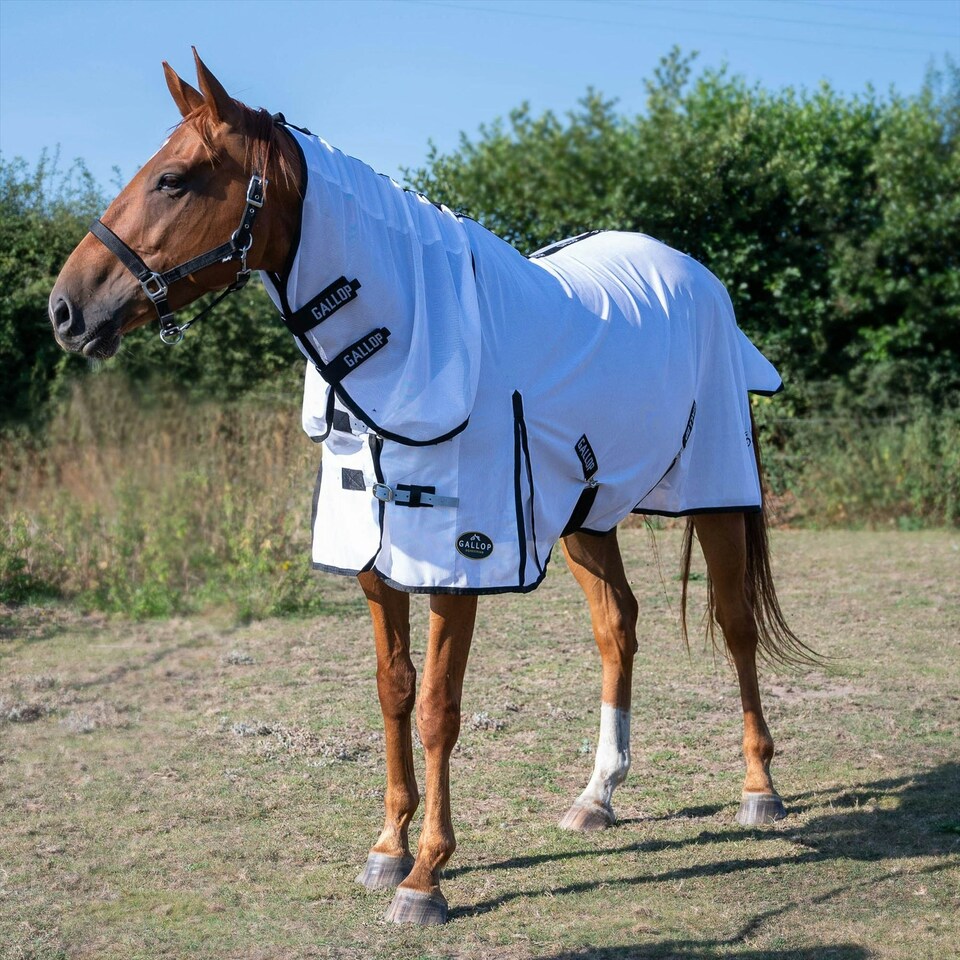 image 1 of Gallop Equestrian Fly Mesh Combo Rug Cream | Size: 6ft 6
Colour: Beige/Sky