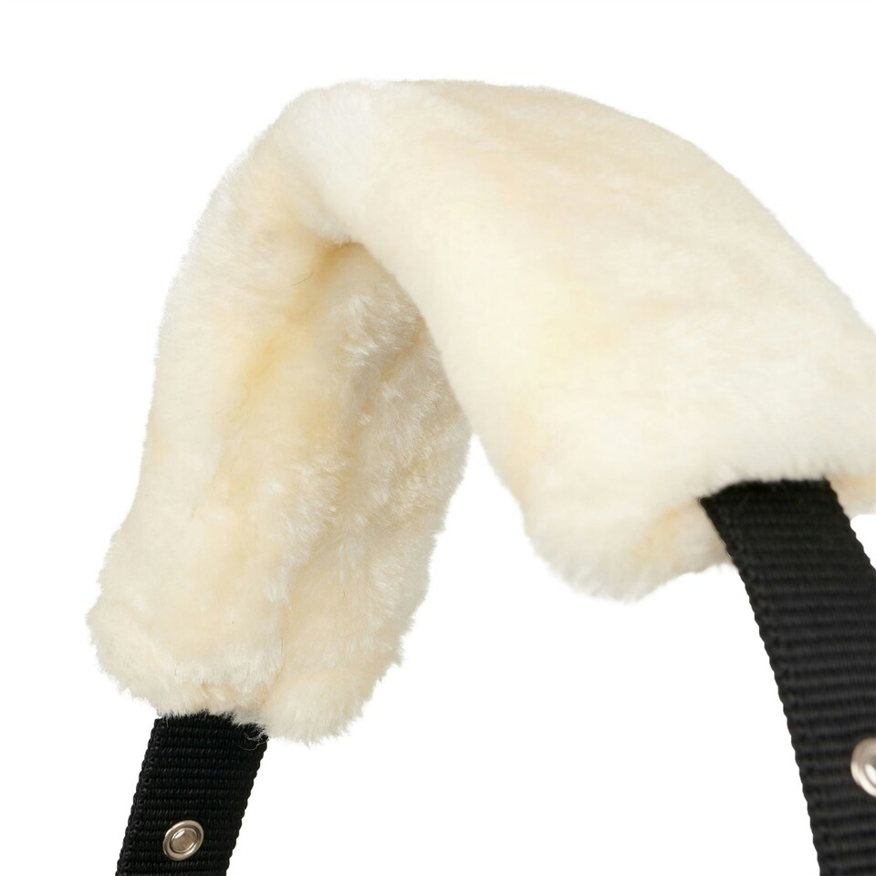 image 1 of LeMieux Comfort Headcollar Blue | X-Full