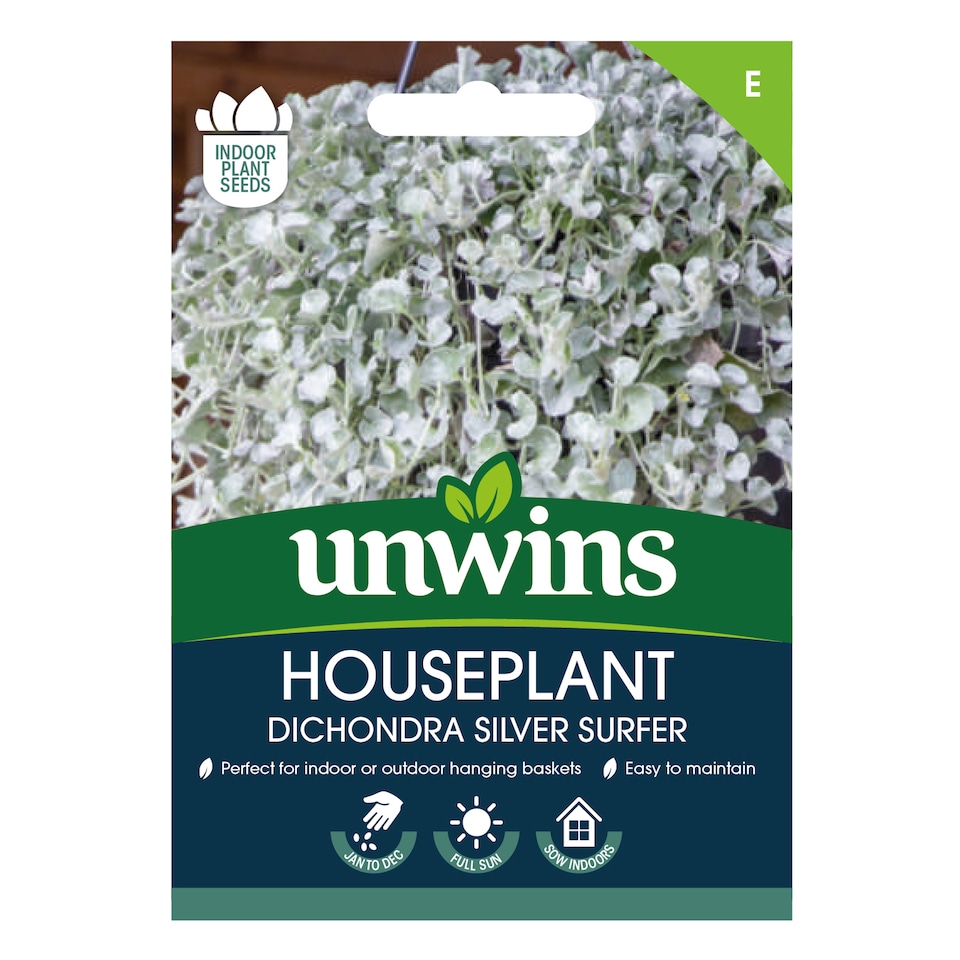 image 1 of Houseplant Dichondra Silver Surfer | Multi | Silvery-green | Seeds | 1
