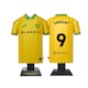 image 5 of RadStuff Metal Alloy Football Shirt - Norwich City Home Kit 2025-26