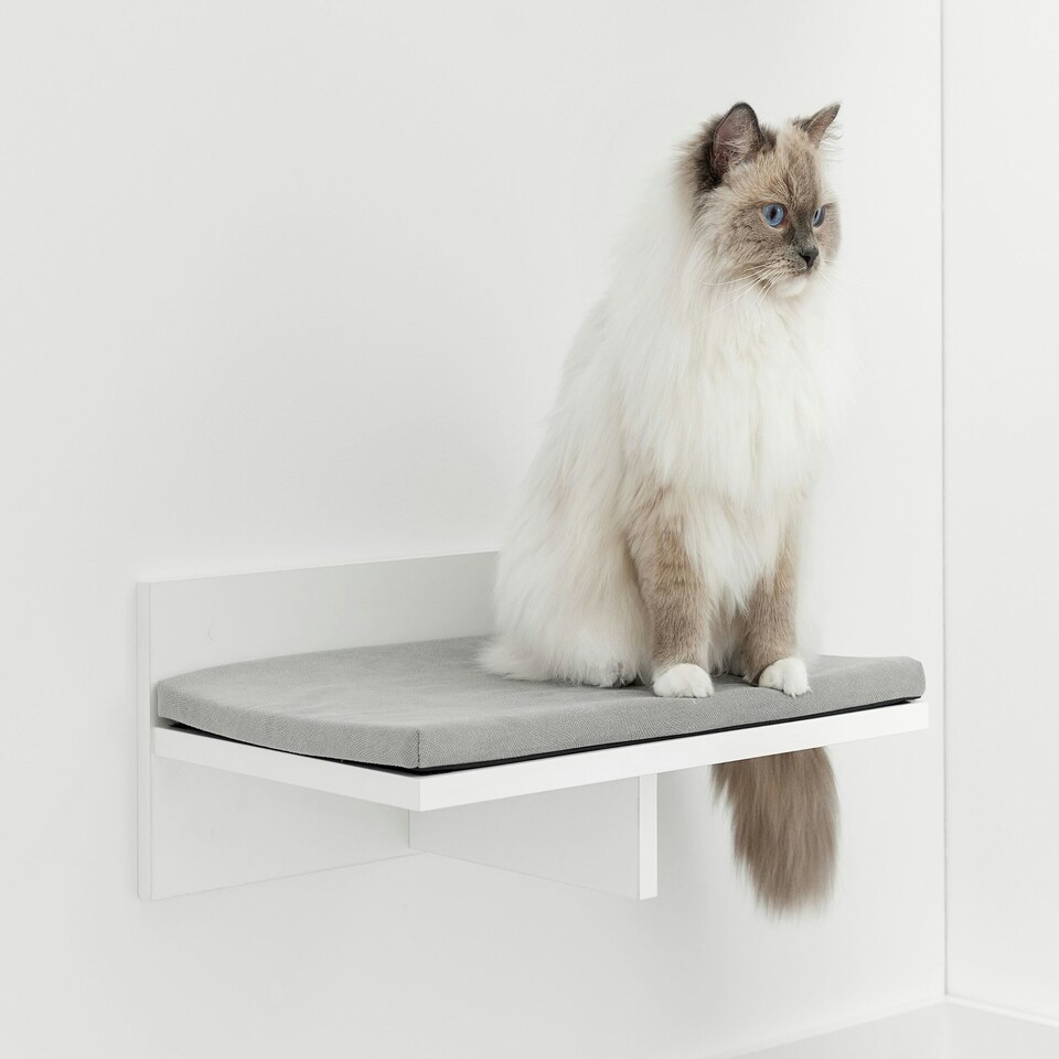image 1 of NOVECRAFTO Wall-Mounted Cat Perch Bed with Cushion – 50cm Wide Space-Saving Shelf – Sturdy Wall Bed Holds up to 30kg – Cozy Lounging Spot for Cats