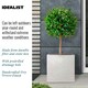 image 8 of Square Box Grey Marble Light Concrete Garden Planter H40 L40 W40 cm, 65 ltrs Cap.