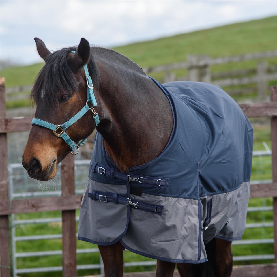 image 1 of eQuitack 600D Waterproof Horse Turnout Rug 0g No Fill Regular Neck Navy/Grey 6'6''